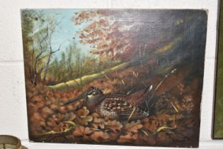 JOHN CYRIL HARRISON (1898-1985) WOODCOCK AT AUTUMN, a study of a Woodcock nestled amongst fallen oak