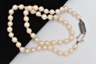A CULTURED PEARL SINGLE STRAND CHOKER NECKLACE, single row of individually knotted white pearls with