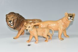 A FAMILY OF BESWICK LIONS, three figures comprising model numbers 2089 Lion, 2097 Lioness and 2098