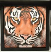 JEN ALLEN (BRITISH 1979) 'AMBER FIRE', a portrait of a Tiger, signed bottom right, titled verso, oil