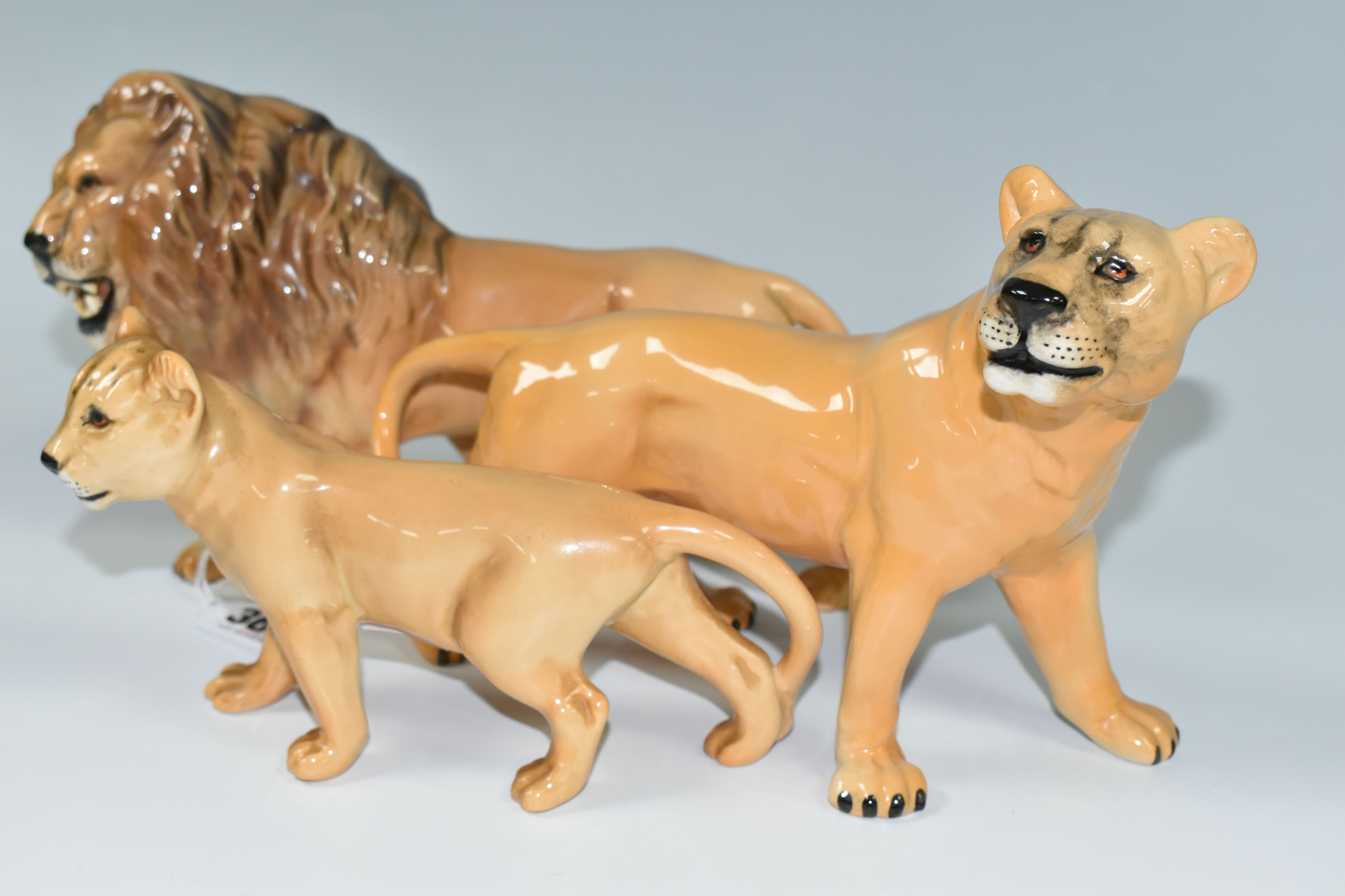 A FAMILY OF BESWICK LIONS, three figures comprising model numbers 2089 Lion, 2097 Lioness and 2098 - Image 4 of 5