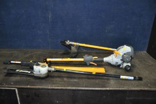 A RYOBI EXPAND IT PETROL MULTI CUTTER SYSTEM with APR 03 tree lopping chainsaw, a AHF 03 hedge