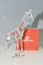 A BOXED SWAROVSKI CRYSTAL 'GIRAFFE BABY' SCULPTURE, model no 236717, from the African Wildlife