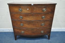 A GEORGIAN MAHOGANY BOW FRONT CHEST OF TWO SHORT OVER THREE LONG DRAWERS, width 103cm x depth 51cm x