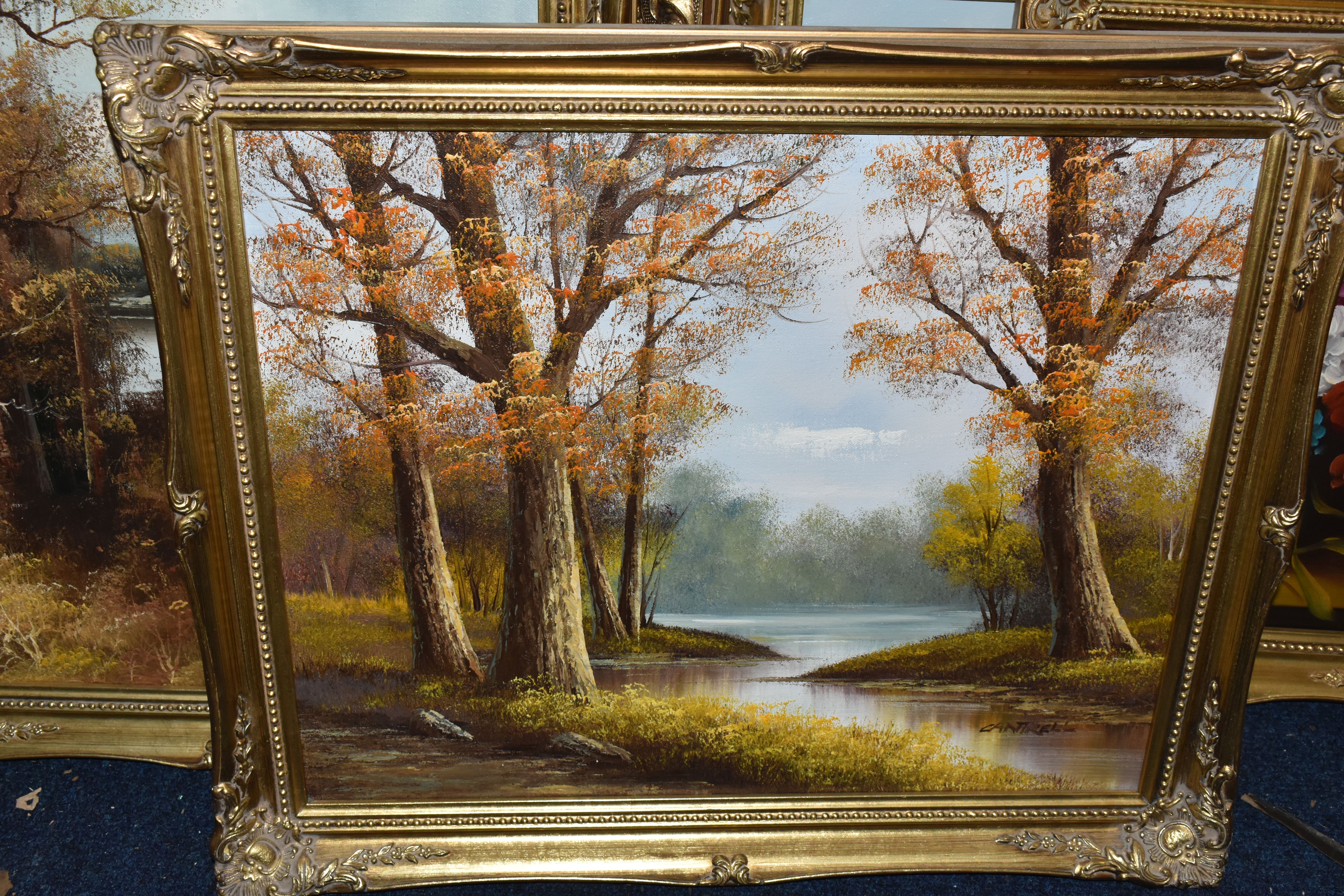 EIGHT LATE 20TH CENTURY LANDSCAPE AND STILL LIFE OIL PAINTINGS, to include two large river - Image 2 of 6