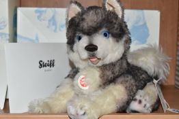 A BOXED LIMITED EDITION STEIFF 'BOBBY HUSKY MASTERPIECE', with grey and white alpaca and cotton '