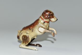 A GERMAN TIN PLATE CLOCKWORK DOG, made in U.S zone, begging clockwork dog with a red collar 1946-
