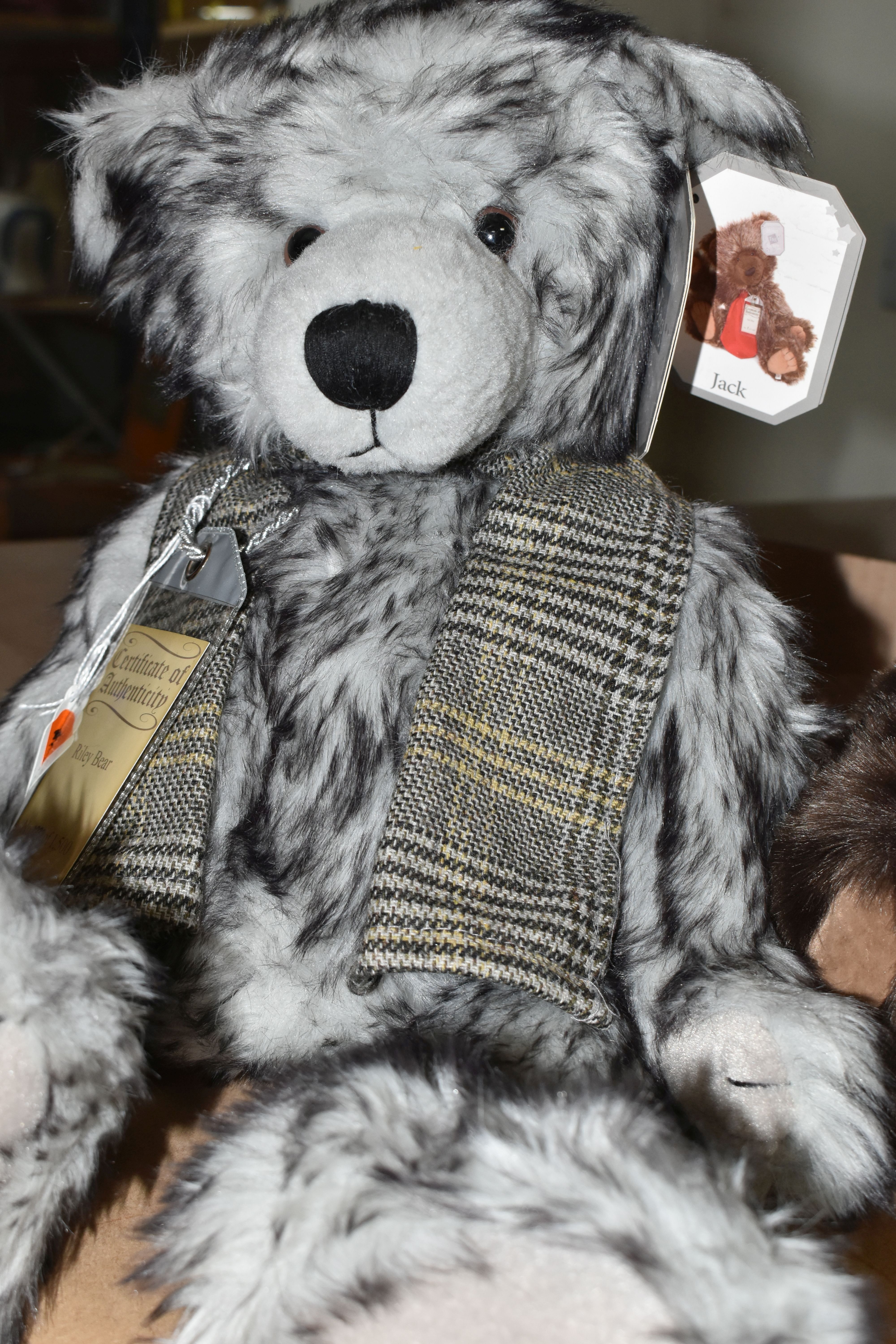 TWO MODERN COLLECTORS BEARS, comprising a limited edition Silver Tag Bear by Suki 'Riley', no.1232/ - Bild 3 aus 3