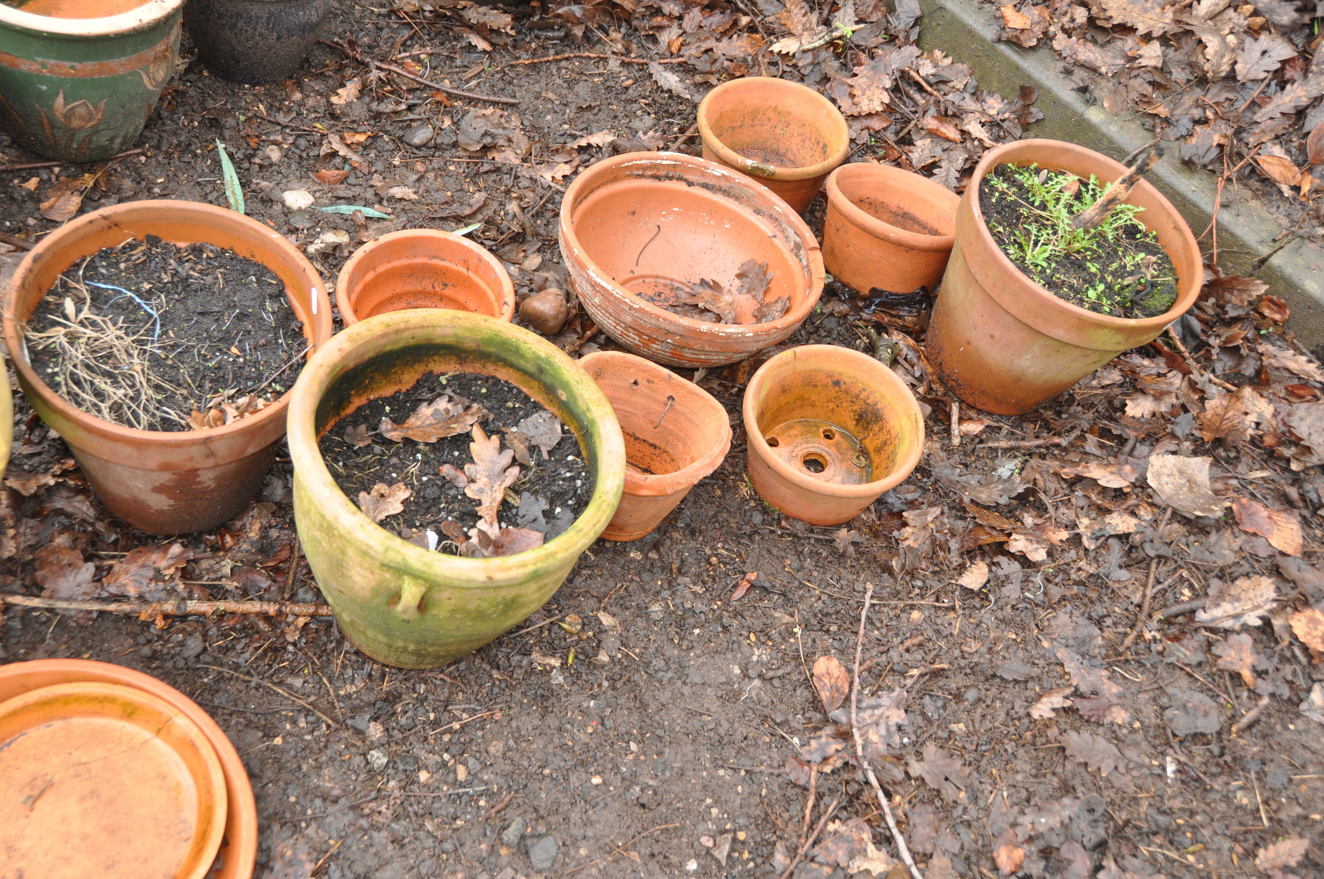 A COLLECTION OF SEVENTEEN TERRACOTTA PLANT POTS AND PLANTERS including a rhubarb forced, two 26cm - Image 2 of 3