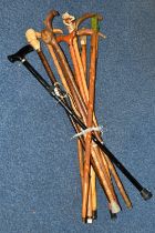 A COLLECTION OF WALKING STICKS, comprising eleven sticks, a resin 'Beethoven' topped stick, an