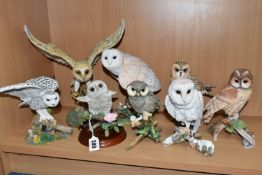A COLLECTION OF BORDER FINE ARTS AND COUNTRY ARTISTS OWL FIGURINES, comprising Single Tawny Owlet