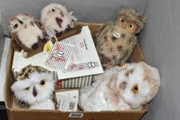 ONE BOX OF STEIFF OWLS, comprising a limited edition boxed 'Owl set' 163/1000 with certificate,