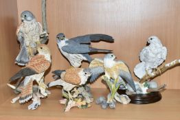 A GROUP OF 'COUNTRY ARTISTS' BIRDS OF PREY, comprising a Country Artists Kestral CA03981, Gyr Falcon
