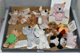 A BOX OF STEIFF PENDANT KEY RINGS, twelve key rings in the forms of teddy bears, a panda, a lion,
