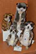 FOUR STEIFF MEERKATS, comprising 'Mungo', no. 071249, brown tipped mohair, height 30cm, 'Cockie',