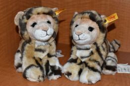TWO STEIFF 'BEST FOR KIDS - BILLY TIGER CUB', no.084102, acrylic, height 20cm, with tags and