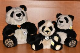 THREE STEIFF PANDA BEARS, comprising 'Manschli', no.064821, height 35cm, another lacking paper
