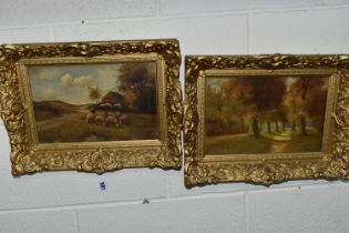 TWO EARLY 20TH CENTURY LANDSCAPES, comprising of a path leading through a woodland signed J Blum,
