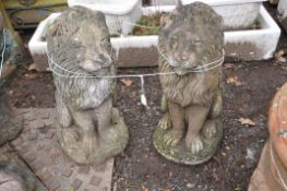A PAIR OF MODERN COMPOSITE LION GARDEN FIGURES in seated pose height 57cm(2)