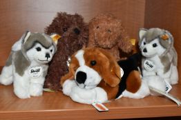FIVE STEIFF PUPPY DOGS, comprising Bonnie Puppy 083556, Timmy Puppy 083525, two Bernie Husky 104985,