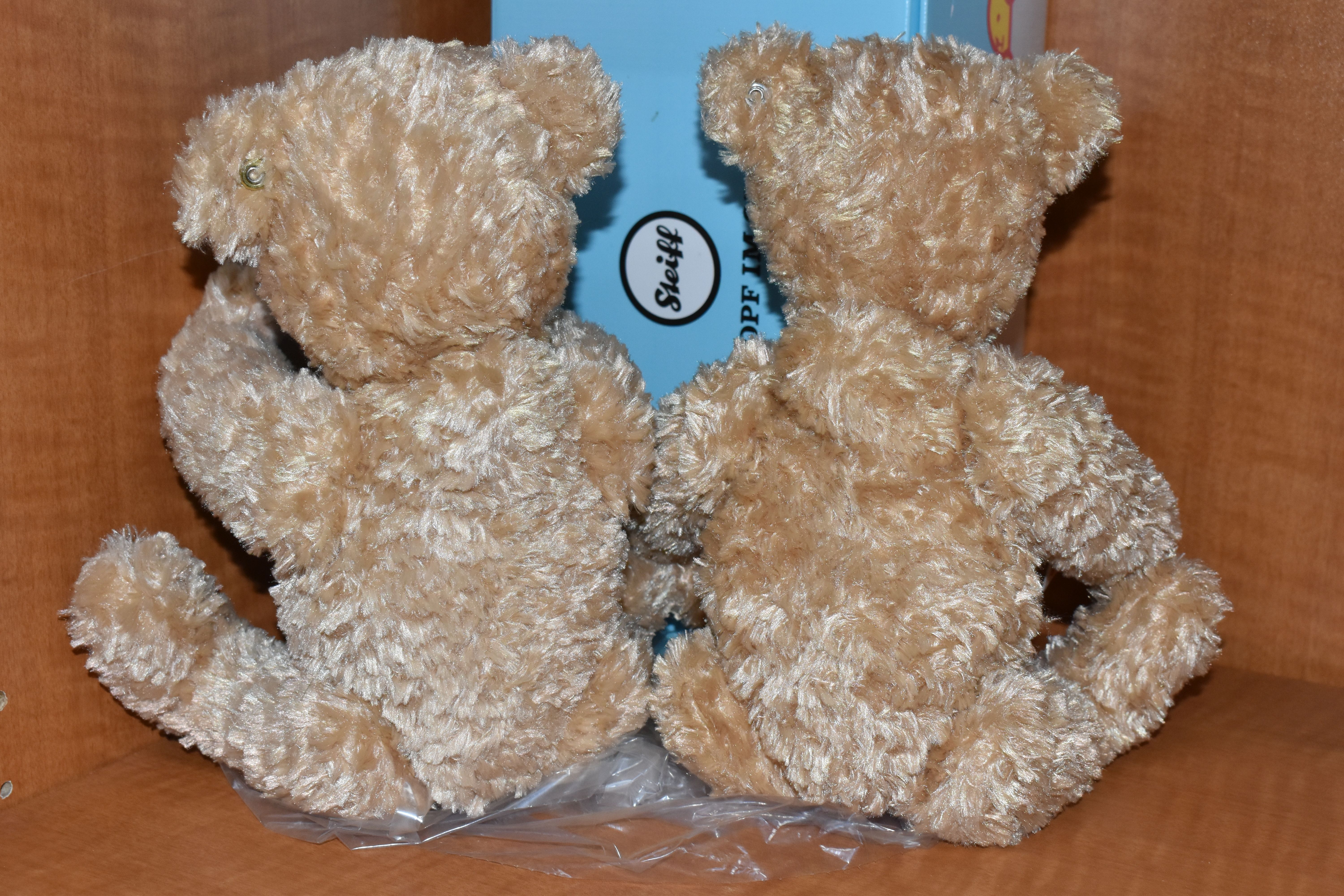 TWO STEIFF 'ELMAR' TEDDY BEARS, no.022456, golden polyester, height 32cm, with tags and labels - Image 2 of 2