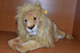 A STEIFF 'BEST FOR KIDS -LEO LION', no.064135, acrylic, length 50cm, with tags and labels