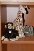 THREE STEIFF 'BEST FOR KIDS' ANIMALS, comprising 'Bendy' giraffe, no. 064340, acrylic, height
