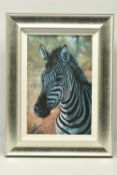 ROLF HARRIS (AUSTRALIAN 1930) 'YOUNG ZEBRA' a signed limited edition print on board, 57/195 with