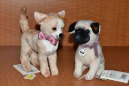 TWO STEIFF DOGS, comprising 'Little Lielou', no.045035, wool, height 15cm and 'Chilly Chihuahua',