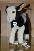 A STEIFF 'FINNY' BLACK AND WHITE GOAT, no.073007, black and white mohair, with tag and labels