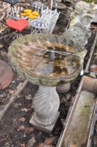 A MID 20th CENTURY BIRD BATH with an oyster shell bowl on a twisted fluted balusters column height