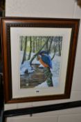 JAMES SMYTH (BRITISH CONTEMPORARY) 'KINGFISHER IN WINTER', a kingfisher is perched upon a branch