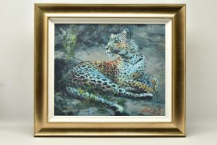 ROLF HARRIS (AUSTRALIAN 1930-2023) 'LEOPARD RECLINING AT DUSK', signed limited edition print on