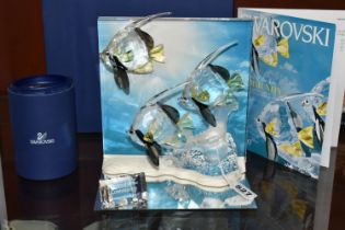 A BOXED SWAROVSKI CRYSTAL 'WONDERS OF THE SEA: COMMUNITY' DIORAMA, annual piece for 2007, with