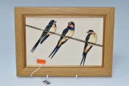 A MOORCROFT POTTERY FRAMED 'SWING BY' WALL PLAQUE, depicting three perching swallows, signed by
