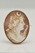 A CAMEO BROOCH, a shell cameo depicting a lady in profile, collet set in yellow metal, approximate