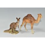 TWO BESWICK ANIMALS, comprising a Kangaroo 1160 and Camel 1044 (2) (Condition Report: a small chip