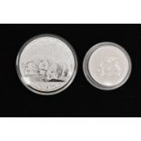 TWO CAPSULATED COINS, to include a 2013 10 yuan Panda coin, approximate diameter including capsule