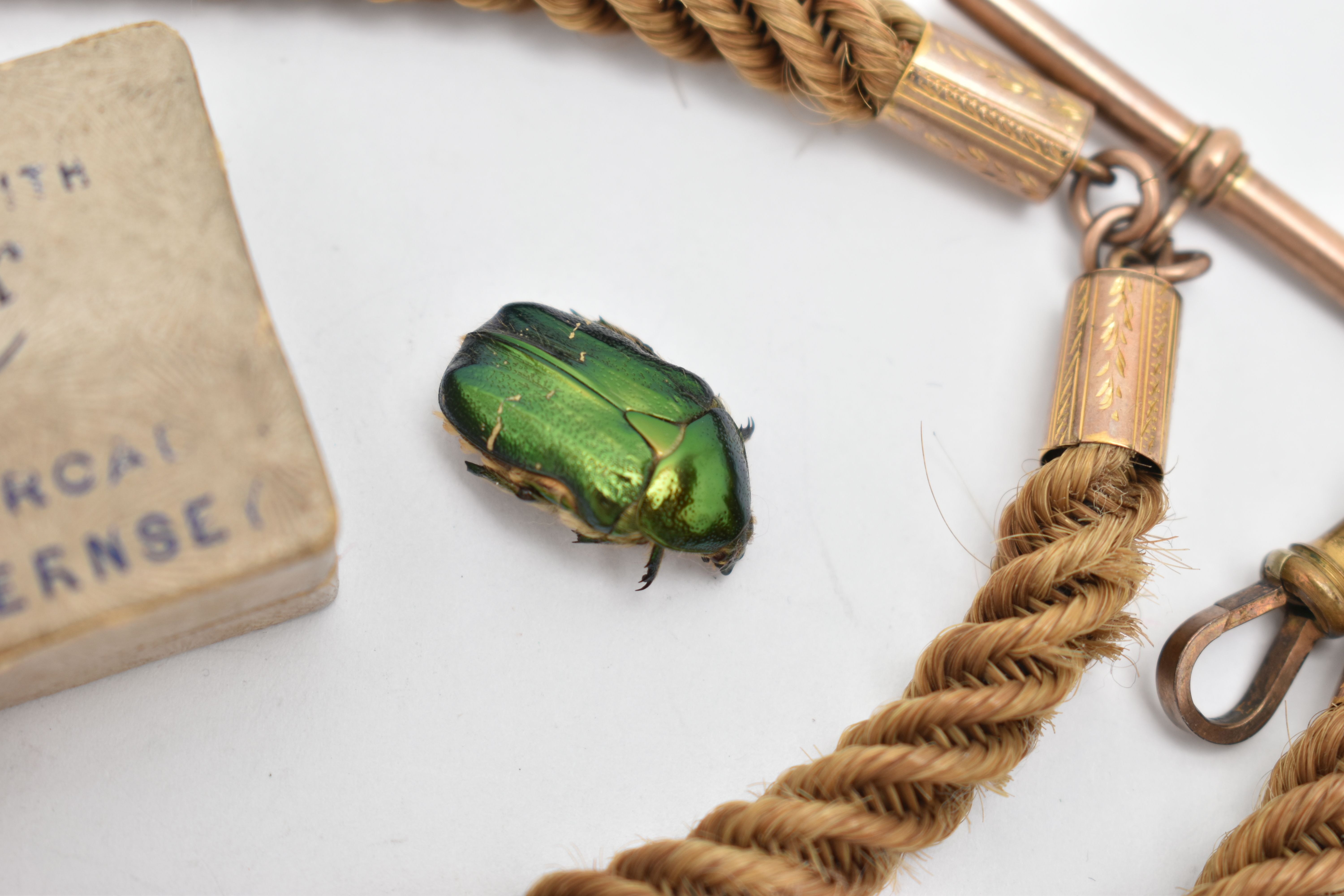 A VICTORIAN ALBERT CHAIN AND SCARAB BEETLE, a finely woven hair Albert chain with yellow metal - Image 3 of 4