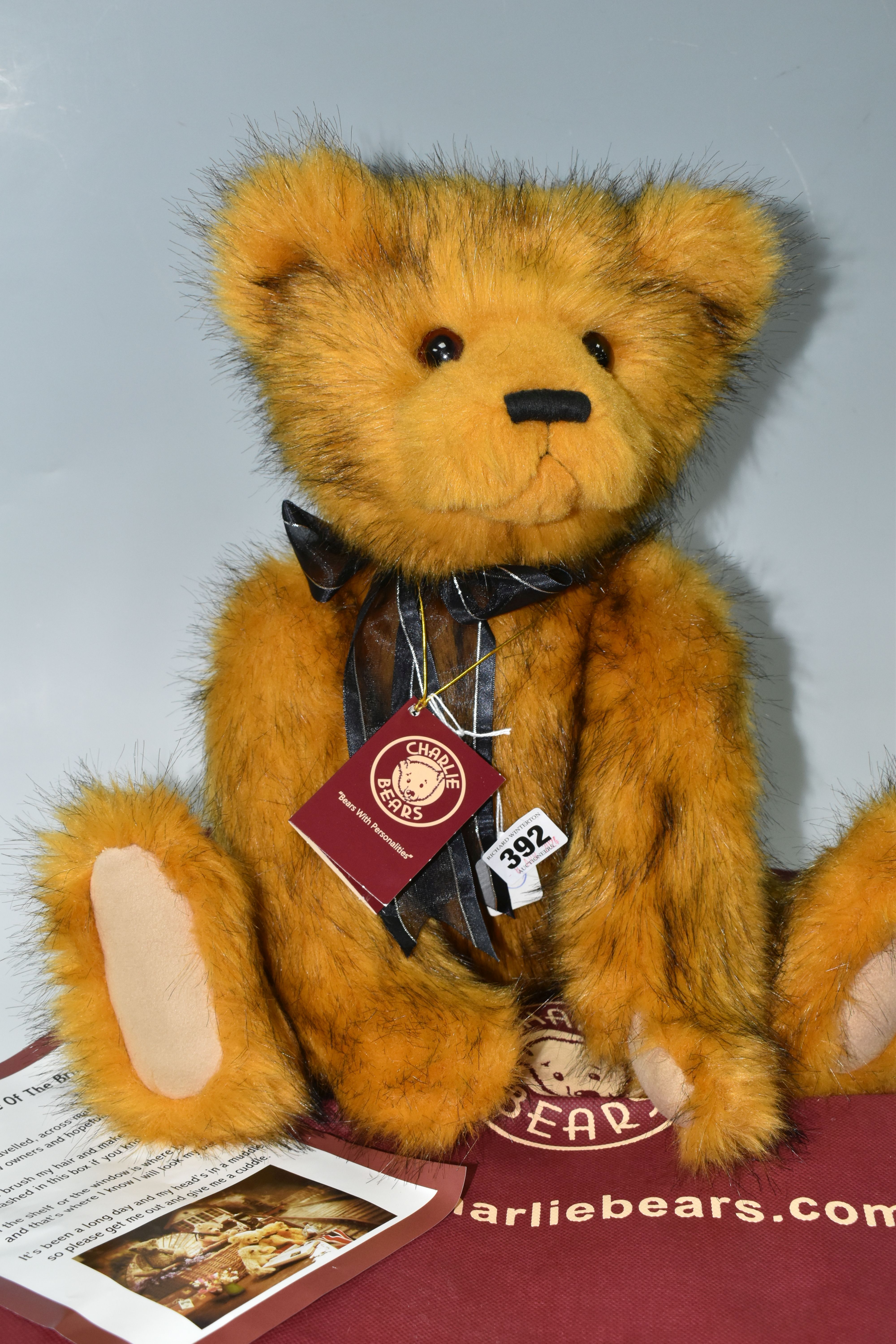 A CHARLIE BEAR 'MEMORIES' CB159051S, designed exclusively by Heather Lyell, height approx. 50cm, - Image 2 of 3