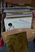 TWO BOXES OF LP RECORDS AND CDS, LP artists include Joan Armatrading, Arlo Guthrie, Joe Jackson,
