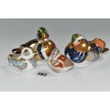 FOUR ROYAL CROWN DERBY DUCK / DUCKLING PAPERWEIGHTS, comprising 'Caroline Duck', second, silver