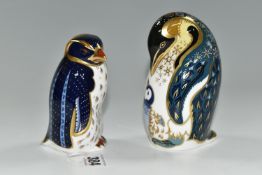 TWO ROYAL CROWN DERBY PENGUIN PAPERWEIGHTS, BOTH SECONDS, comprising Rockhopper Penguin and