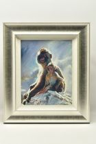 ROLF HARRIS (AUSTRALIA 1930-2023) 'BACKLIT BABOONS - GIBRALTAR', a signed limited edition print on