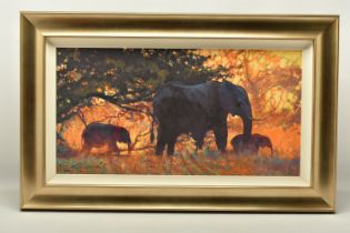 ROLF HARRIS (AUSTRALIA 1930-2023) 'BACKLIT GOLD', a signed limited edition print on canvas board,