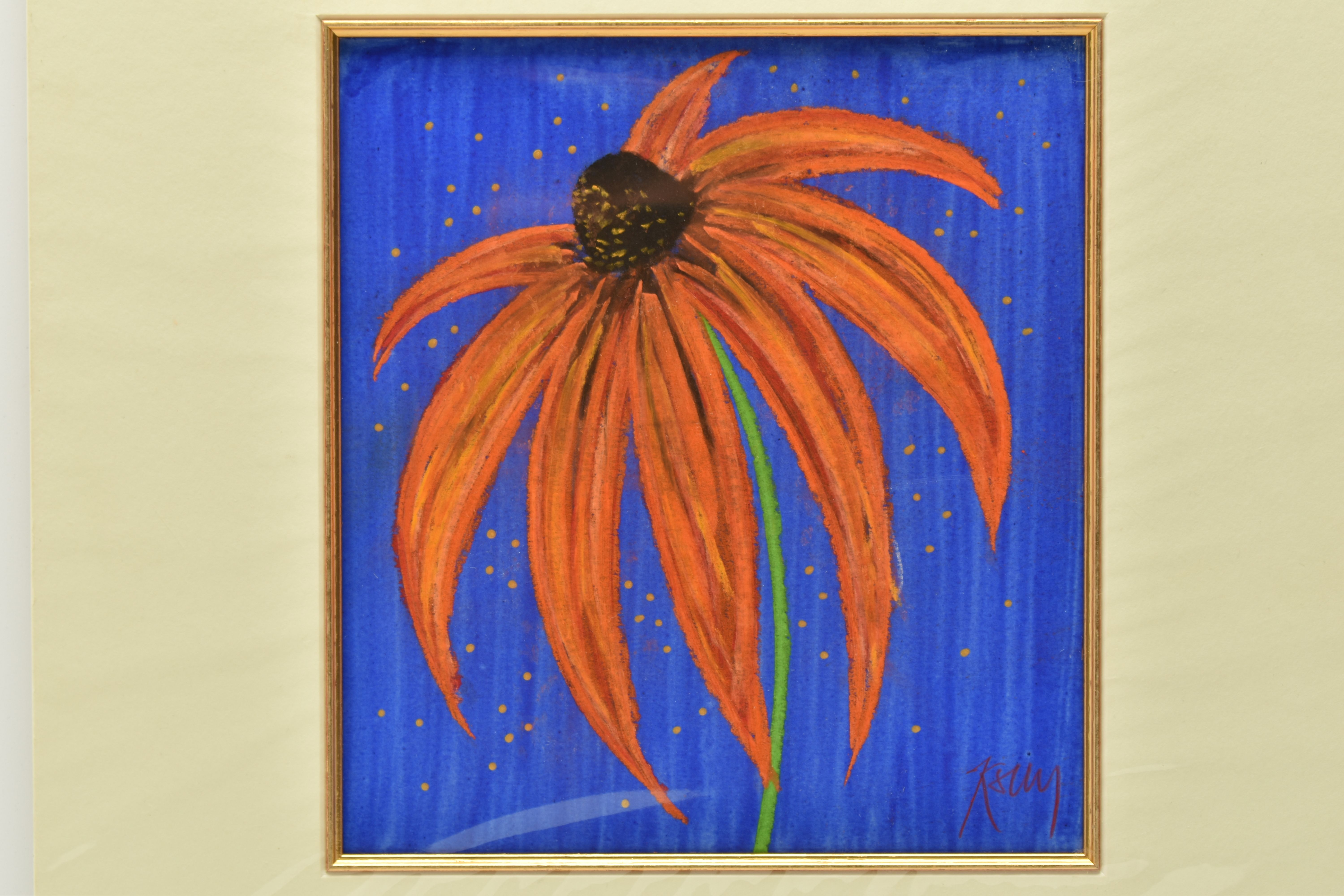 KELLY JANE (BRITISH CONTEMPORARY) ECHINACEA / CONEFLOWER, a study of a single flower, signed - Image 2 of 5