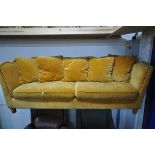 A GOLD VELOUR UPHOLSTERED SOFA, with a studded back, sides, and a shaped top, on square light oak