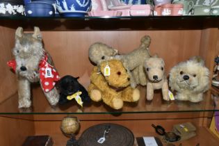 A QUANTITY OF ASSORTED MID 20TH CENTURY SOFT TOY DOGS AND A CAT, one of the dogs has a Norah