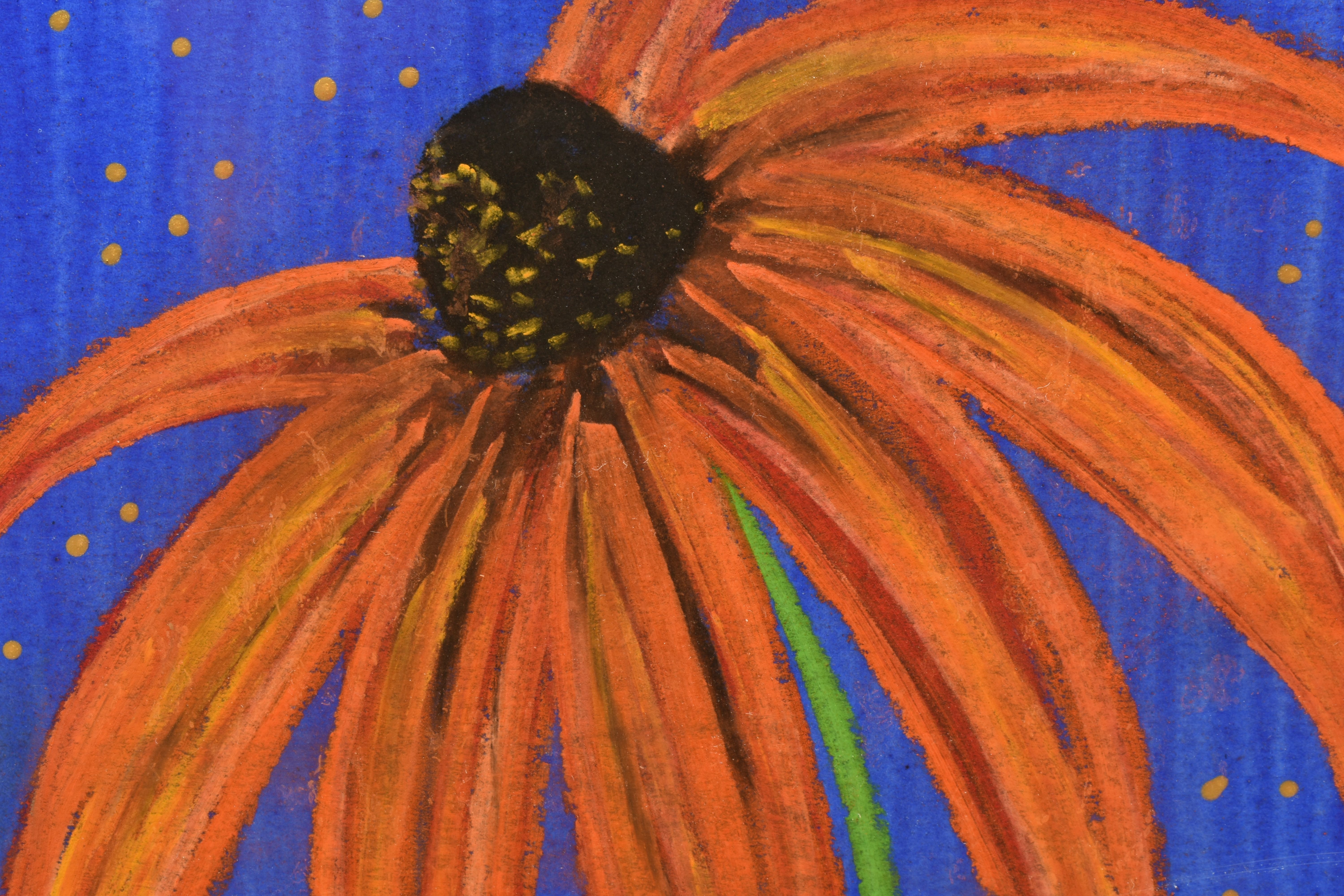 KELLY JANE (BRITISH CONTEMPORARY) ECHINACEA / CONEFLOWER, a study of a single flower, signed - Image 3 of 5