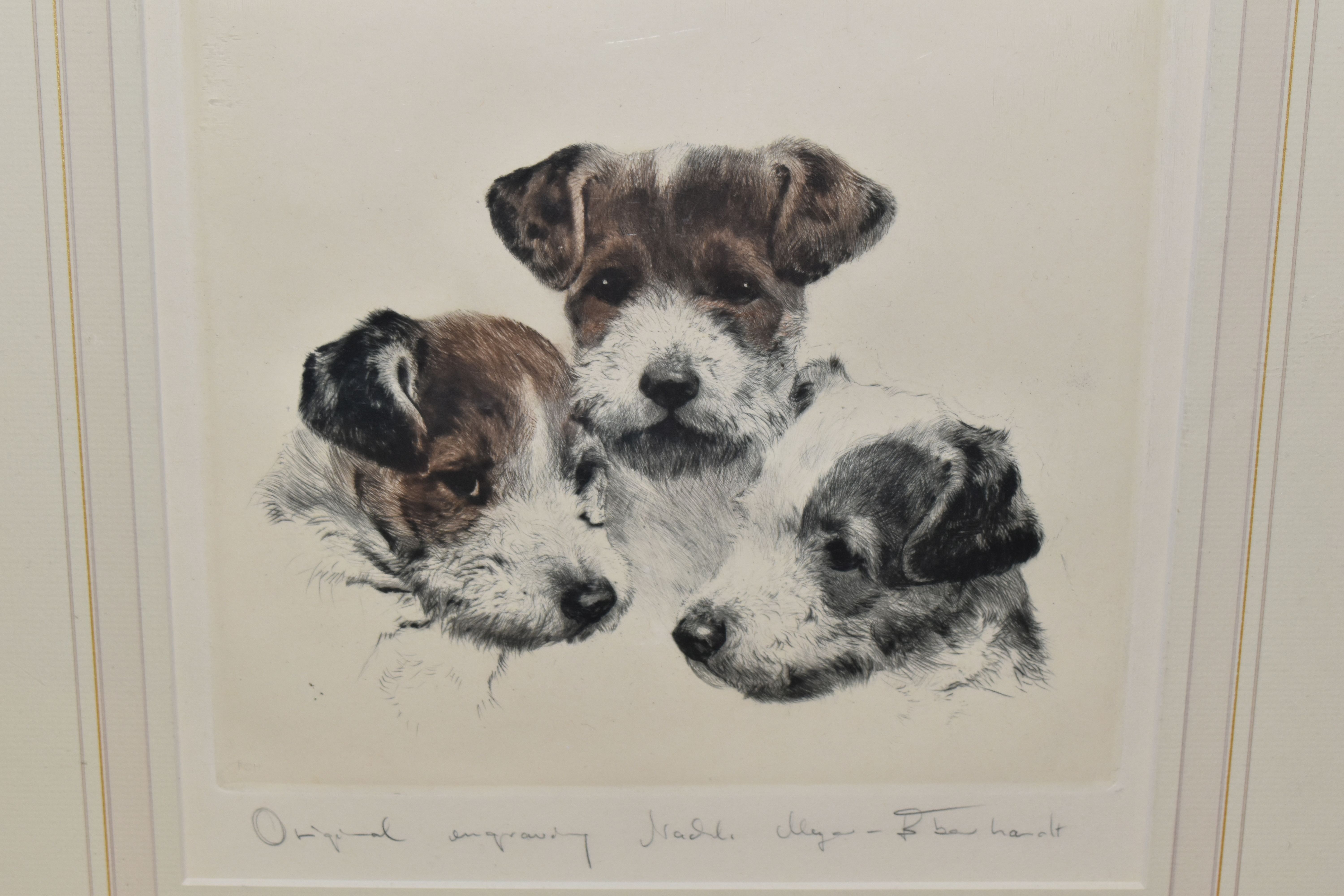 KURT MEYER-EBERHARDT (GERMAN 1895-1977) THREE ENGRAVING PRINTS OF SMALL DOGS, comprising two Skye - Image 2 of 4